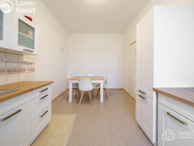 Rent apartment 1+1 Karlovy Vary č. 2