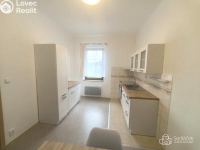Rent apartment 1+1 Karlovy Vary č. 4
