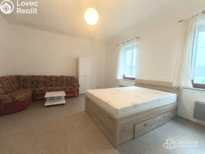 Rent apartment 1+1 Karlovy Vary č. 5