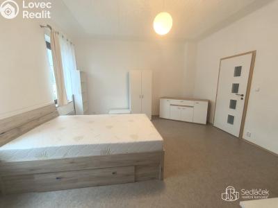 Rent apartment 1+1 Karlovy Vary č. 6