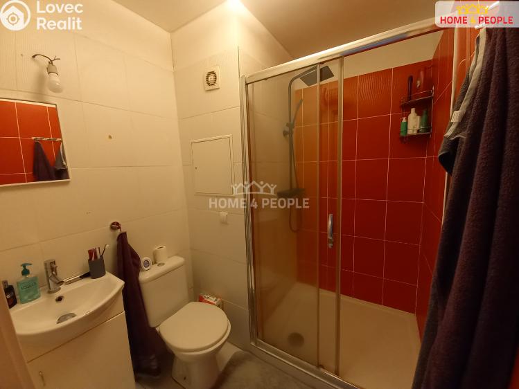 Pronájem bytu 1+1 České Budějovice, Větrná č. 8