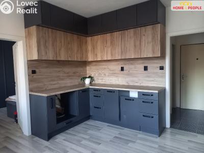 Rent apartment 1+1 České Budějovice, Větrná č. 4