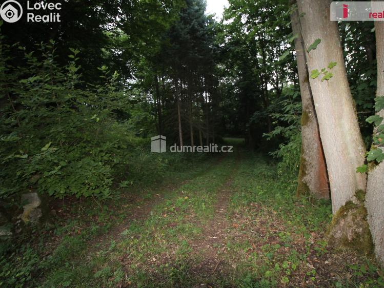Sale hut Merklín č. 36