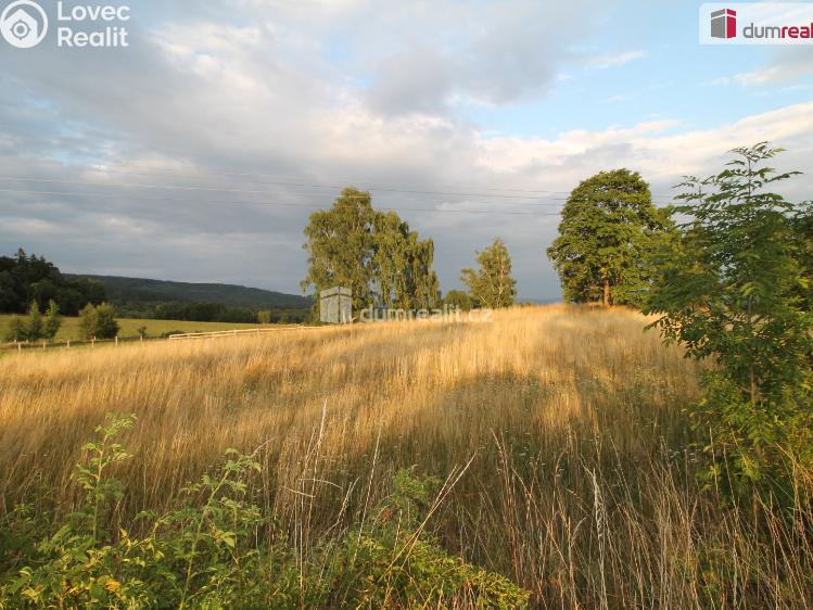 Sale hut Merklín č. 44