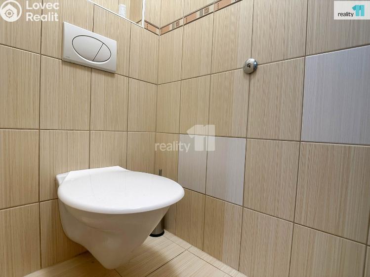 Pronájem bytu 4+KK Kroměříž, Riegrovo náměstí č. 12