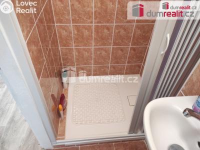 Pronájem bytu 1+KK Poděbrady, Sklářská č. 5