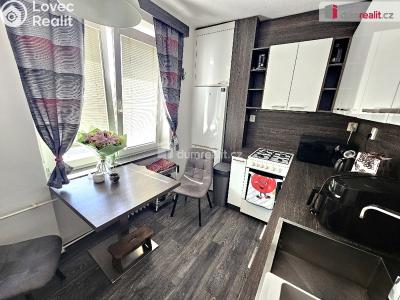 Sale apartment 2+1 Plzeň, Alešova č. 2