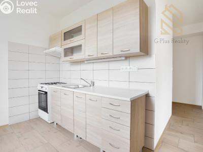 Pronájem bytu 2+1 Louny, Štefánikova 1966 č. 4