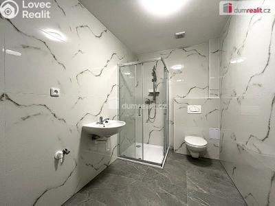 Rent apartment 1+1 Habartov, 1. máje č. 3
