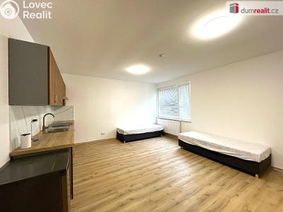 Rent apartment 1+1 Habartov, 1. máje č. 4