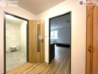 Rent apartment 1+1 Habartov, 1. máje č. 5