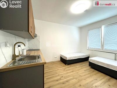 Rent apartment 1+1 Habartov, 1. máje č. 6