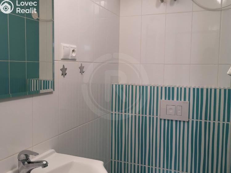 Pronájem bytu 1+1 České Budějovice, Karla IV. č. 7