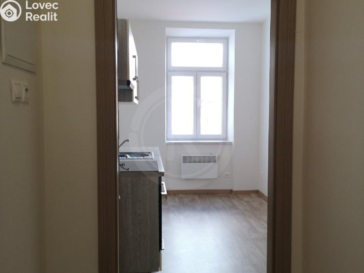 Pronájem bytu 1+1 České Budějovice, Karla IV. č. 9