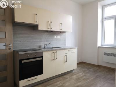 Rent apartment 1+1 České Budějovice, Karla IV. č. 2