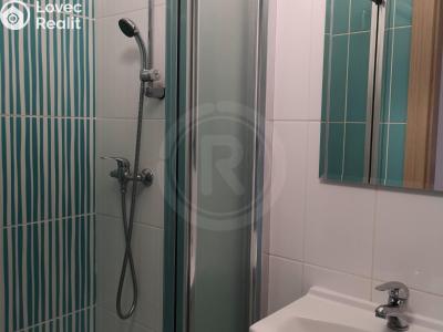 Rent apartment 1+1 České Budějovice, Karla IV. č. 6