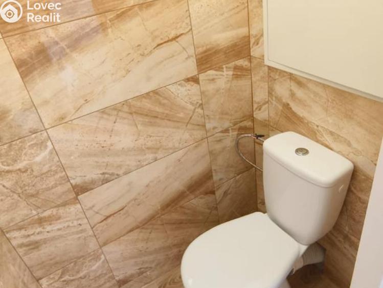 Pronájem bytu 2+1 Chomutov, Bezručova 4201 č. 20