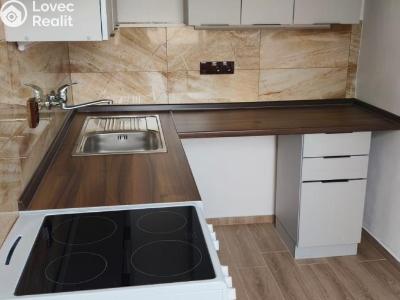 Pronájem bytu 2+1 Chomutov, Bezručova 4201 č. 2