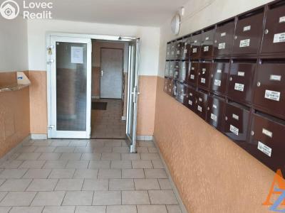 Pronájem bytu 2+1 Chomutov, Bezručova 4201 č. 3