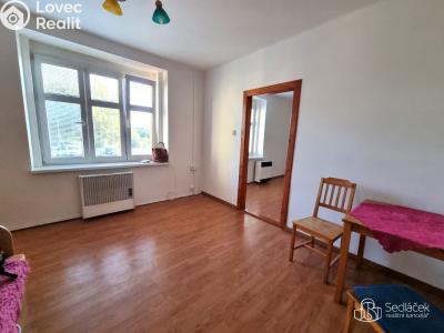 Pronájem bytu 2+1 Karlovy Vary, Rohová č. 4