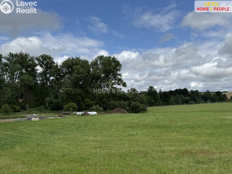 Sale hut Čechtice č. 26