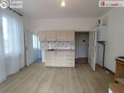 Rent apartment 1+1 Poděbrady, Říční č. 1