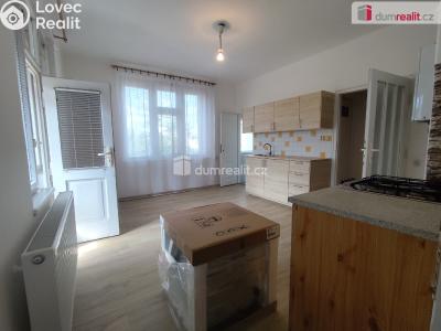 Rent apartment 1+1 Poděbrady, Říční č. 2