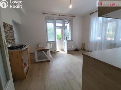 Rent apartment 1+1 Poděbrady, Říční č. 3