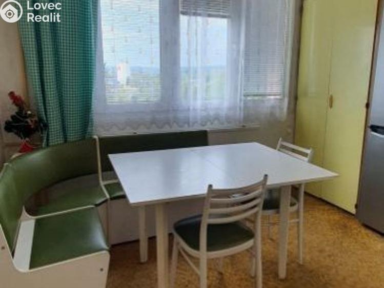 Pronájem bytu 3+1 Planá č. 8