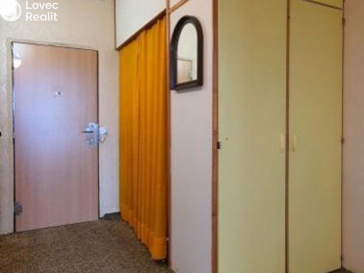 Pronájem bytu 3+1 Planá č. 10