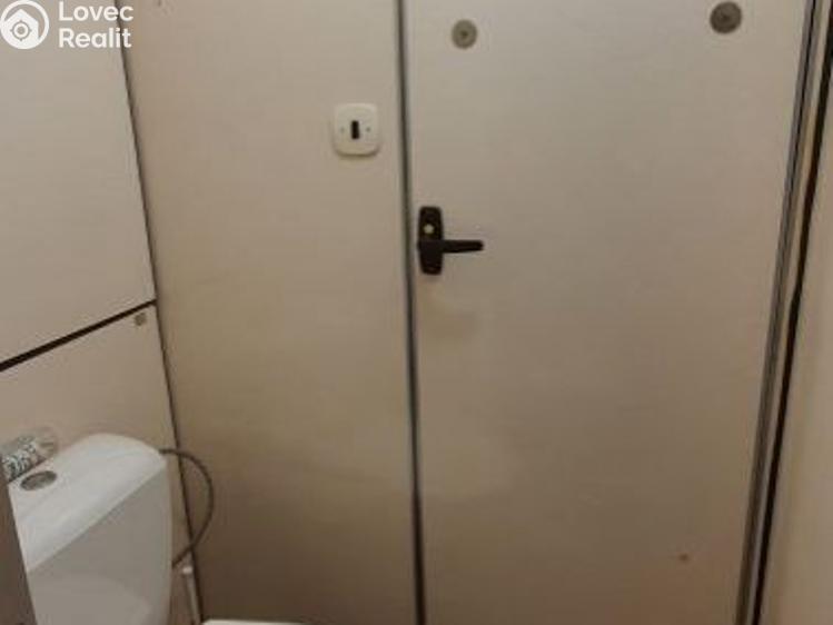 Pronájem bytu 3+1 Planá č. 11