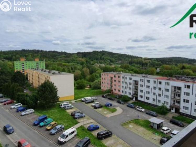 Pronájem bytu 3+1 Planá č. 14