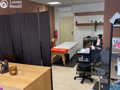 Pronájem komerční nemovitosti Prostějov č. 6