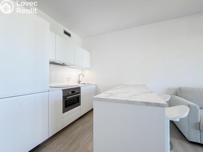 Rent apartment 1+KK Praha, Mezi vodami č. 1