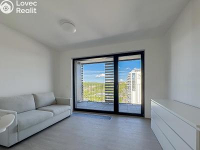 Rent apartment 1+KK Praha, Mezi vodami č. 3