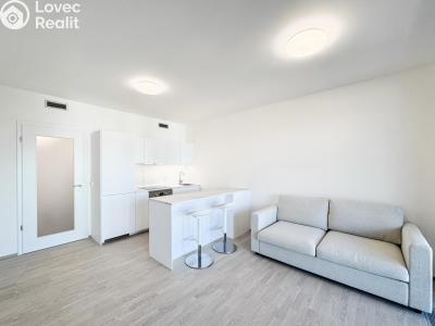 Rent apartment 1+KK Praha, Mezi vodami č. 4