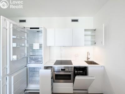 Rent apartment 1+KK Praha, Mezi vodami č. 5