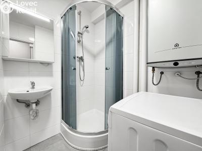 Аренда квартиры 1+KK Praha, Sokolská č. 3