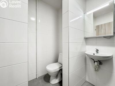 Аренда квартиры 1+KK Praha, Sokolská č. 4