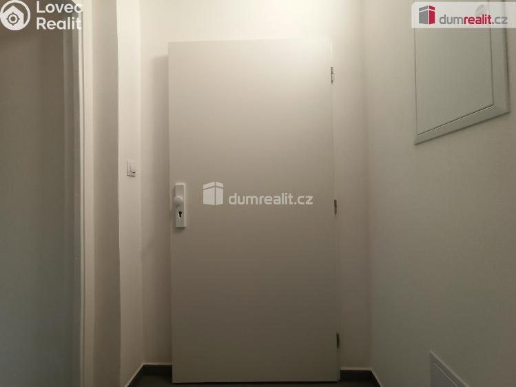 Pronájem bytu 2+1 Karlovy Vary, Lesní č. 11