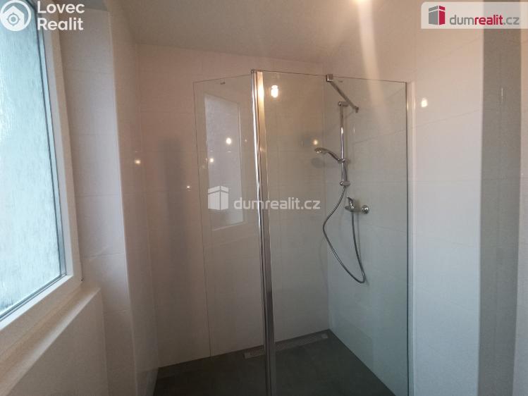 Pronájem bytu 2+1 Karlovy Vary, Lesní č. 15