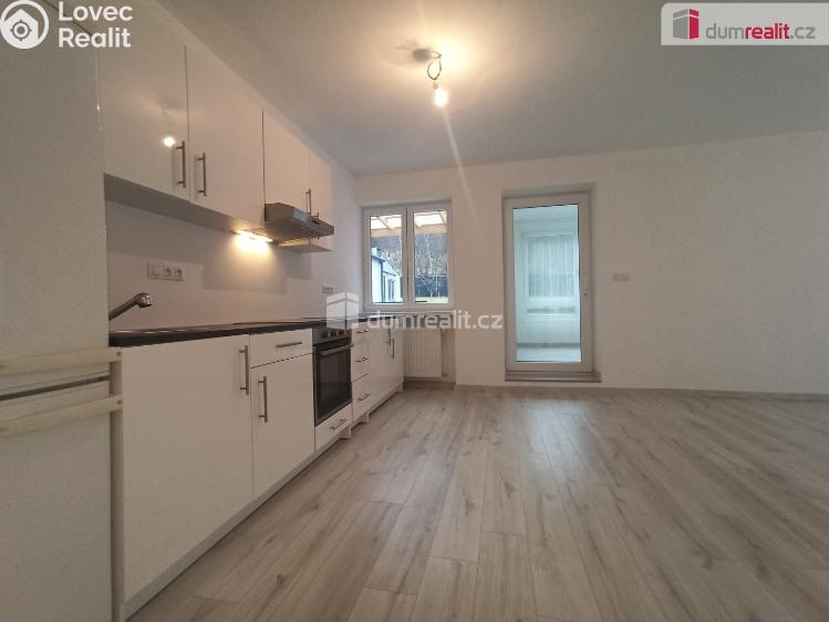 Pronájem bytu 2+1 Karlovy Vary, Lesní č. 18