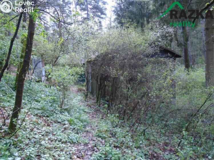 Продажа хижины Erpužice č. 6