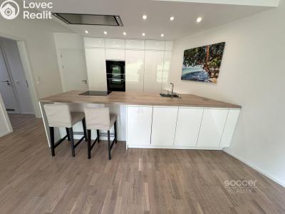 Rent apartment 3+KK Praha, Naskové č. 4