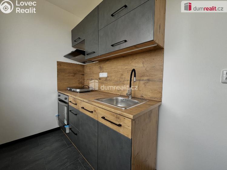 Rent apartment 1+1 Krupka, Sídliště č. 1