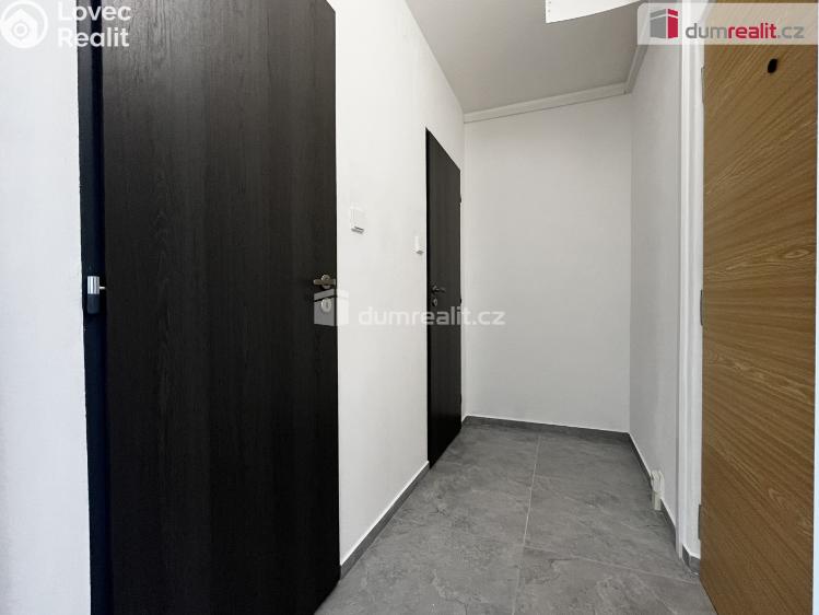 Rent apartment 1+1 Krupka, Sídliště č. 7