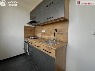 Rent apartment 1+1 Krupka, Sídliště č. 1