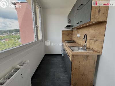 Rent apartment 1+1 Krupka, Sídliště č. 2