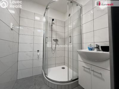 Rent apartment 1+1 Krupka, Sídliště č. 5