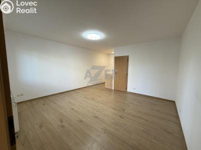 Pronájem bytu 1+KK Bohumín, P. Cingra 100 č. 2